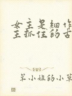 女主是细作被男主抓住的古言封面