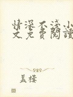 情深不浅小说全文免费阅读