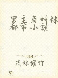 男主角叫林羽的都市小说