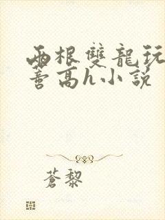 两根双龙玩弄花蒂高h小说封面