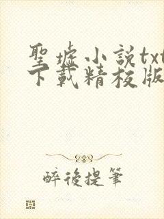 圣墟小说txt下载精校版封面