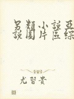 另类小说亚洲小说图片区综合在线封面