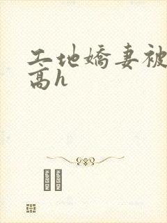 工地娇妻被肉记高h