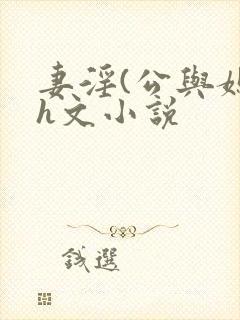 妻淫(公与媳)h文小说