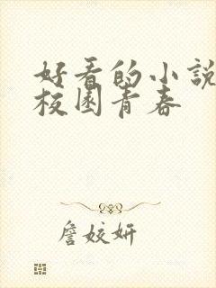 好看的小说推荐校园青春