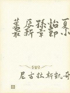 叶辰孙怡夏若雪最新章节小说心