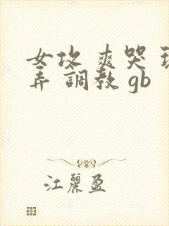 女攻 爽哭 玩弄 调教 gb