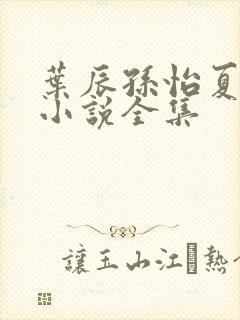 叶辰孙怡夏若雪小说全集封面