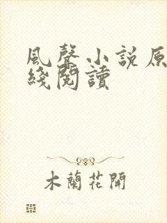 风声小说原著在线阅读