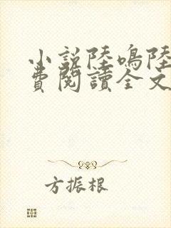 小说陆鸣陆瑶免费阅读全文