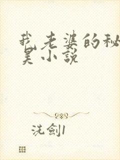 我老婆的秘密吴昊小说