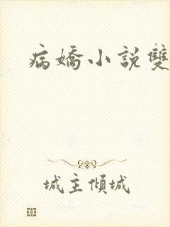 病娇小说双男主