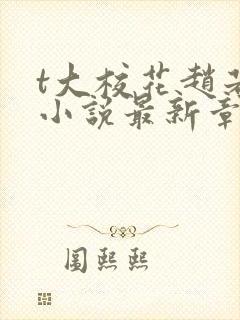 t大校花赵若芸小说最新章节更新内容