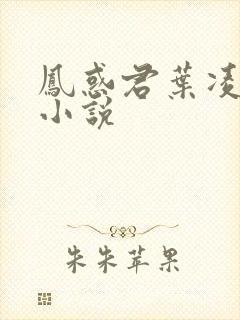 凤惑君叶凌天的小说封面