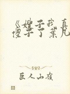 《嫂子我真不是傻子了叶凡》