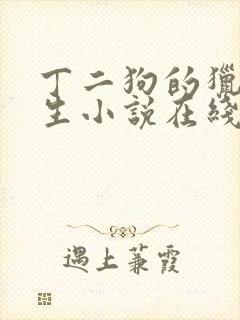 丁二狗的猎艳人生小说在线阅读