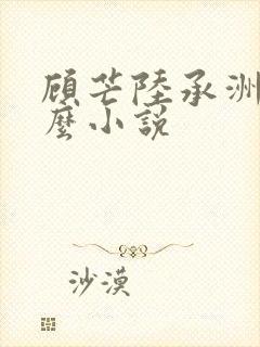 顾芒陆承洲是什么小说