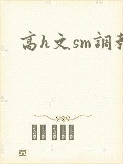 高h文sm调教