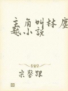 主角叫林尘的穿越小说封面