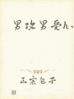 男攻男受h小说