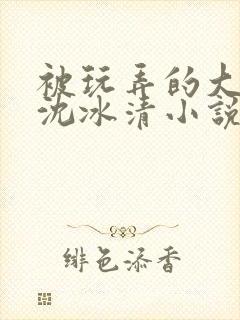 被玩弄的大小姐沈冰清小说封面