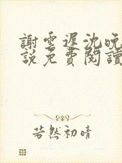 谢云迟沈晚黎小说免费阅读最新章节封面