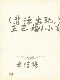 (背德出轨,男主已婚)小说