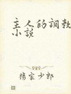 主人的调教sm小说