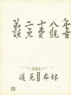 第二十八年春小说免费观看封面