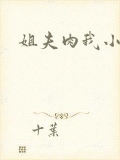 姐夫肉我小说封面