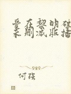 爱在黎明破晓前未删减版播放