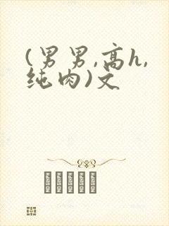(男男,高h,纯肉)文