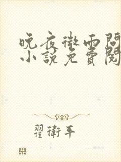 晚夜微雨问海棠小说免费阅读封面