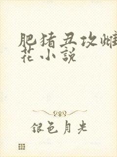 肥猪丑攻雌堕校花小说封面