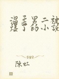 温柔男二被男主爆了的小说