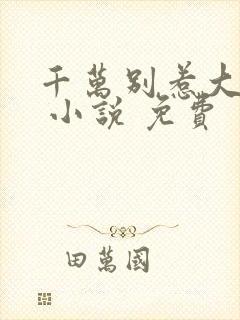 千万别惹大师兄 小说 免费