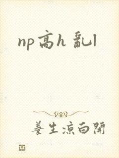np高h 乱l