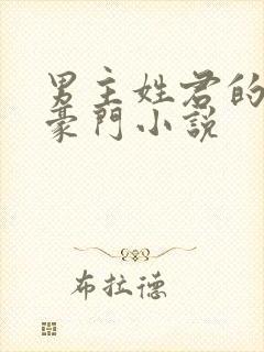 男主姓君的现代豪门小说