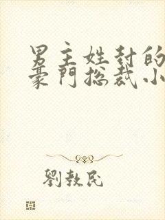 男主姓封的所有豪门总裁小说