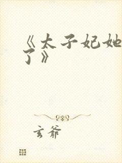 《太子妃她不干了》封面