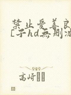 禁止爱善良的小[子hd无删减播放