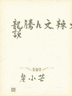 龙腾h文辣文小说