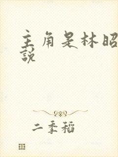 主角是林昭的小说