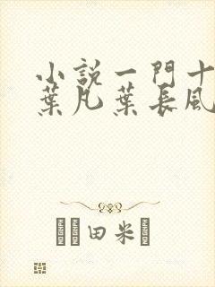 小说一门十忠烈叶凡叶长风全集