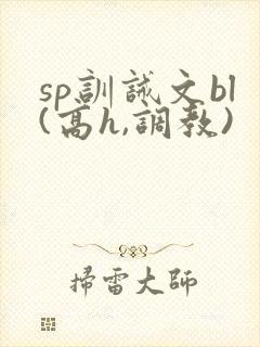 sp训诫文bl(高h,调教)