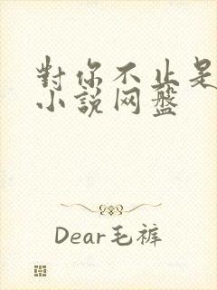 对你不止是喜欢小说网盘