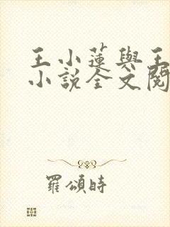 王小莲与王山炳小说全文阅读封面