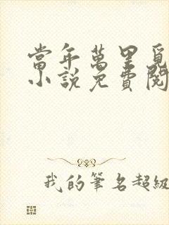 当年万里觅封侯小说免费阅读未删减