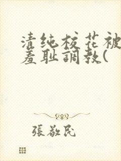 清纯校花被民工羞耻调教(