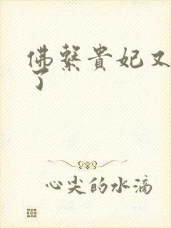 佛系贵妃又剧透了封面